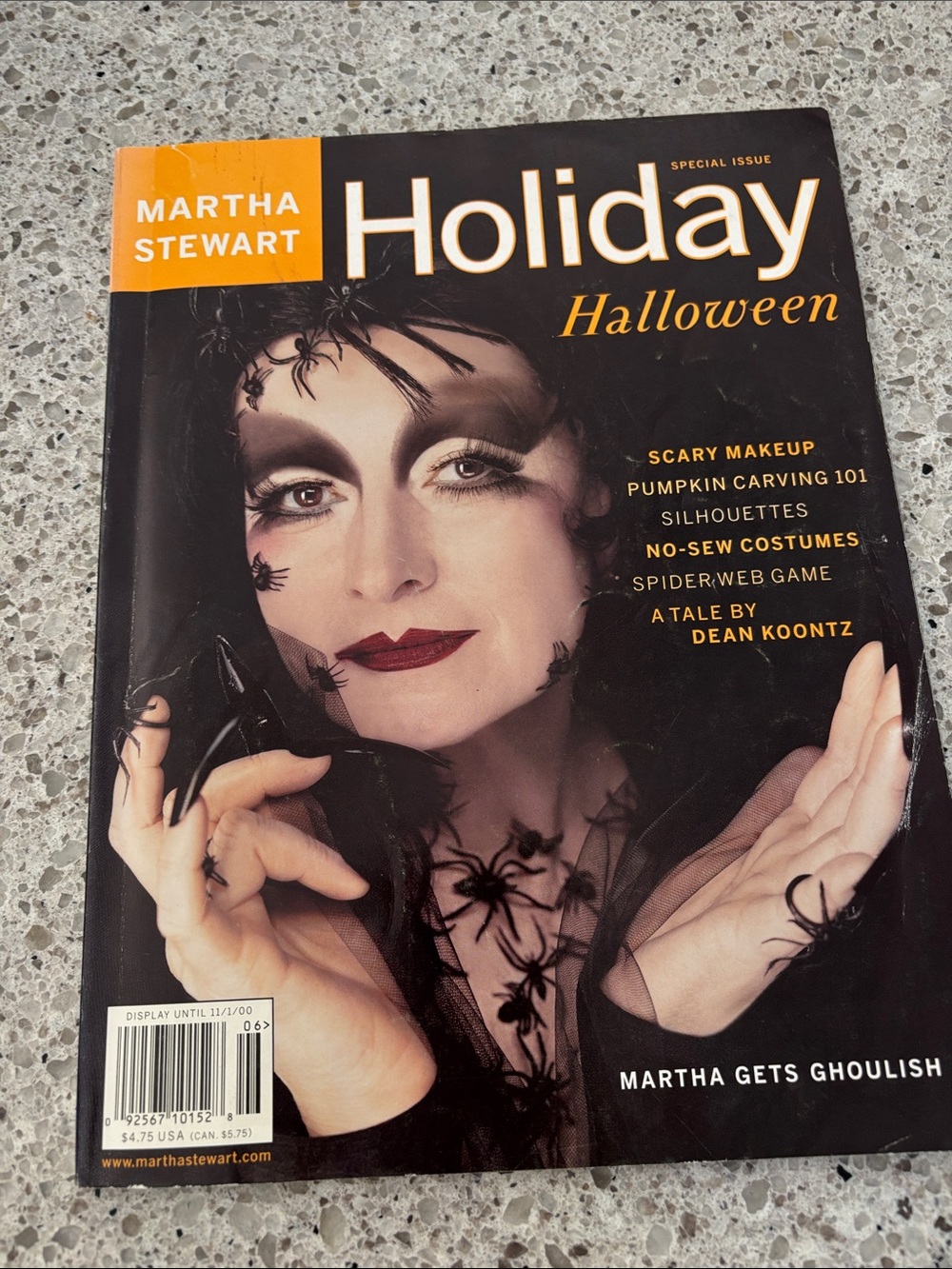Martha Stewart Holiday Halloween Special - Black & Orange Cover Art